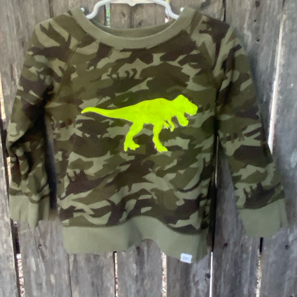 Baby gap dinosaur sweatshirt size 3